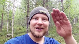 ГРИБЫ ПОШЛИ . тихая охота . сбор грибов