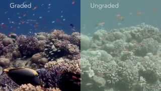 BMPCC Underwater Test - Graded & Ungraded Footage
