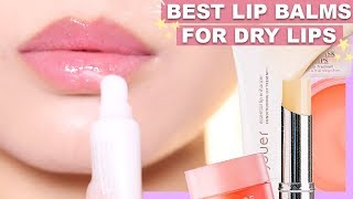 THE BEST LIP BALMS TO GET RID OF DRY + CHAPPED LIPS!
