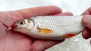 Рыбалка. Ловля плотвы на мормышку. Март 2018 года.