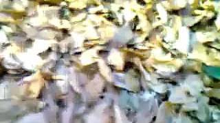 чечня боевые действия видео боевиков