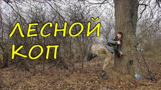 Коп в лесу Находки с металлоискателем коп 2020