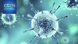 Situación de la epidemia por coronavirus en Paraguay y República Dominicana