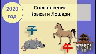 Столкновение Крысы и Лошади в 2020 году