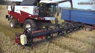 Rostselamsh Torum 760 Rotor Mahdrescher prasentiert von Egenolf Limburg Germany