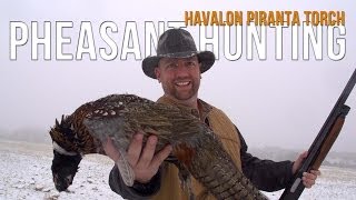 Havalon Piranta Torch | Field Test and Pheasant Hunt