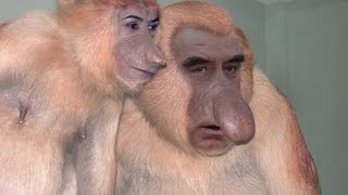 ЭМОММАЙМУНТАППАК