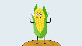 Сучасна фізкультхвилинка "Corn Dance"