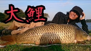 大物釣り シーバスをルアーで狙ってたら巨鯉が釣れた！Carp Fishing