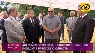 Рабочая поездка Александра Лукашенко в Брестскую область