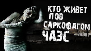 Страшные истории на ночь - Кто живет под саркофагом ЧАЭС