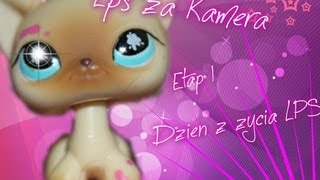 ~ LPS za Kamerą ~ Etap I ~ Dzień z życia LPS ~ Ukryta kamera ~