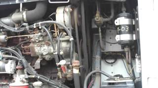 Thermo King / Isuzu D201 Diesel Cold start after 3 years sitting.