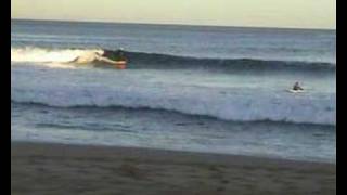 fish surfing scrappy waves