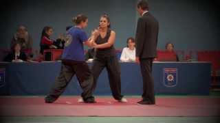 IV CAMPEONATO WUSHU TRADICIONAL - Taichi Parte 2º