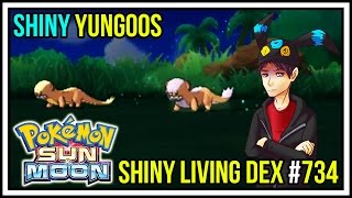SHINY YUNGOOS! | Shiny Living Dex #734 | Pokemon Sun and Moon