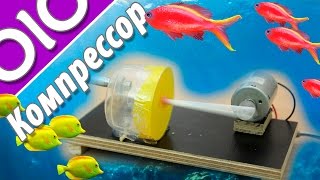 Как сделать компрессор для аквариума своими руками? мини воздушный компрессор. #olo