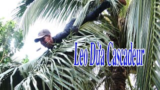Leo Dừa như Cascadeur .Cụ Già 77 Tuổi Leo Dừa Lâu Năm của Anh Thánh lầy phải xin Thua. Thanh Hoai KG