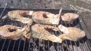 Толстолобик. Рыба на мангале, нуууу очень вкусно