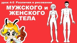 Отличия в рисовании мужского и женского тела