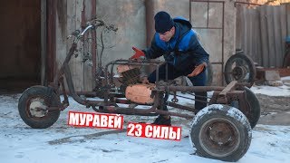 МУРАВЕЙ 23 СИЛЫ! ПОЧТИ НА ХОДУ!