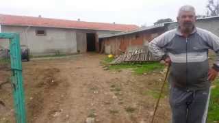 SATILDI...Balıkesir Gönen atıcıoba satılık arazi,tarla,hayvan damı,evi,koyun,kuzu,dana,inek
