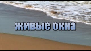 ЖИВЫЕ ОКНА. Режиссёр Ирина Козлова. ВГИК. Короткометражный фильм.