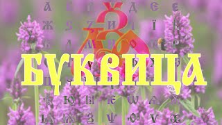 Магия Древних Славян : БУКВИЦА #49