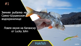 День 1 (02.01.2017г). Саяно-Шушенское водохранилище. Клайский залив. Средний и крупный окунь.