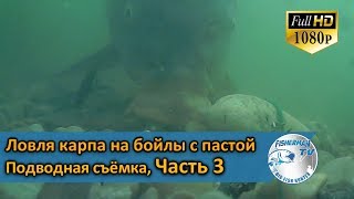 Ловля карпа на бойлы с пастой. Подводная съёмка, Часть 3