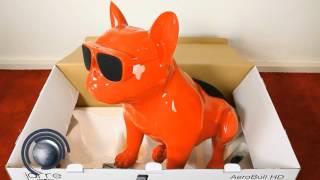 L'AeroBull de Jarre est lâché