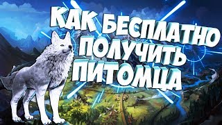 Black Desert Mobile Global Как Бесплатно Получить Питомца / Розыгрыш Питомца