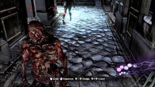 [HD]Resident Evil 6 Agent Hunt 8/9 (Leon & Helena Hunting)