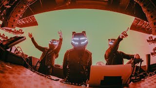 Black Tiger Sex Machine - Asia Tour (Summer 2018)