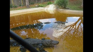 Sawgrass Recreation Park -  Fort Lauderdale Tour #TravelTips