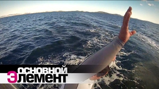 Выжить в океане | Основной элемент