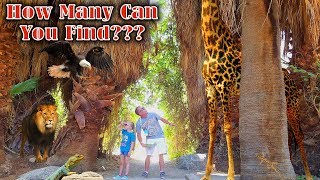 Scavenger Hunt at the Living Desert Zoo!! What Animals Did We Find?!?!