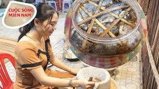 Chia sẻ cách làm mắm cá rô phi nhà #namviet