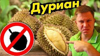 Пробуем ДУРИАН в Таиланде – самый вонючий фрукт в Мире! Экзотические фрукты Таиланда
