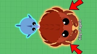 MOPE.IO - I met KOA & he gave me free XP !!!