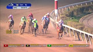 8a Carrera Clasico Para Machos de 2 años. 1.400 mts