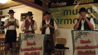 MundharmonikaMusi Altmühltal - Der tote Kuckuck