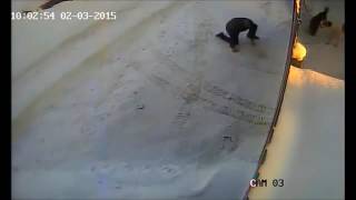 Глупый парень против собак
