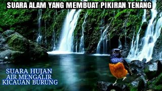 SUARA HUJAN AIR MENGALIR DAN KICAU BURUNG DI ALAM LIAR UNTUK RELAKSASI