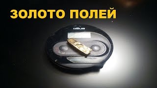 Золото полей. XP deus снова нашел ЗОЛОТО!!!