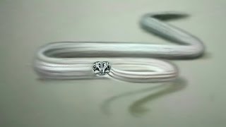 Gerçekçi Yılan Çizimi / Drawing Realistic 3D Snake