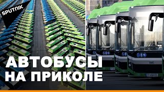 Коронавирус в Грузии: общественный транспорт в стране вновь остановлен
