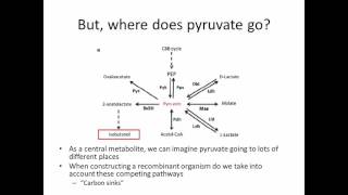 Flipped classroom 3 - metabolic pathway engineering