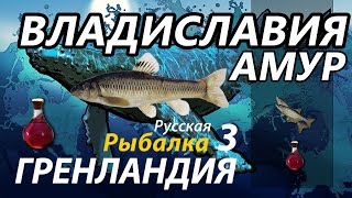 Владиславия Амур / РР3 [Русская Рыбалка 3 Гренландия]