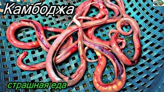 Камбоджа.Страшная еда.Брезгливым и впечатлительным смотреть не надо.м